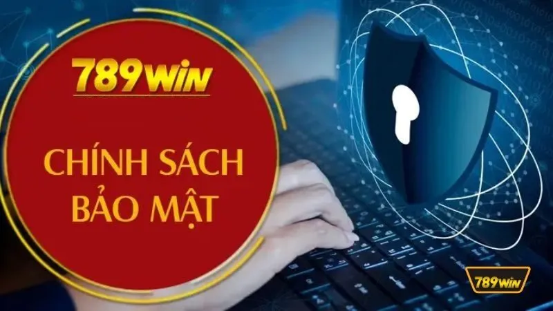 Sử dụng thông tin Sử dụng thông tin